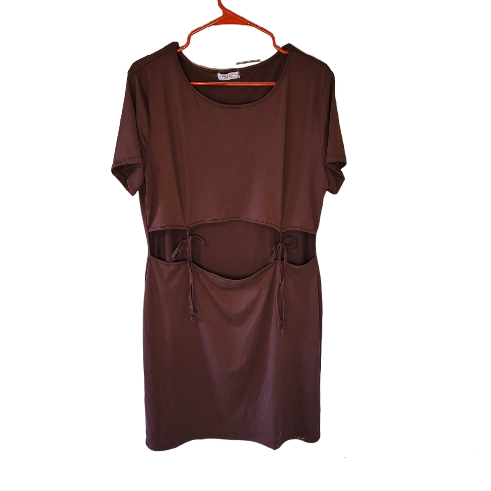 Haley and June brown rum raisin dress. 2X